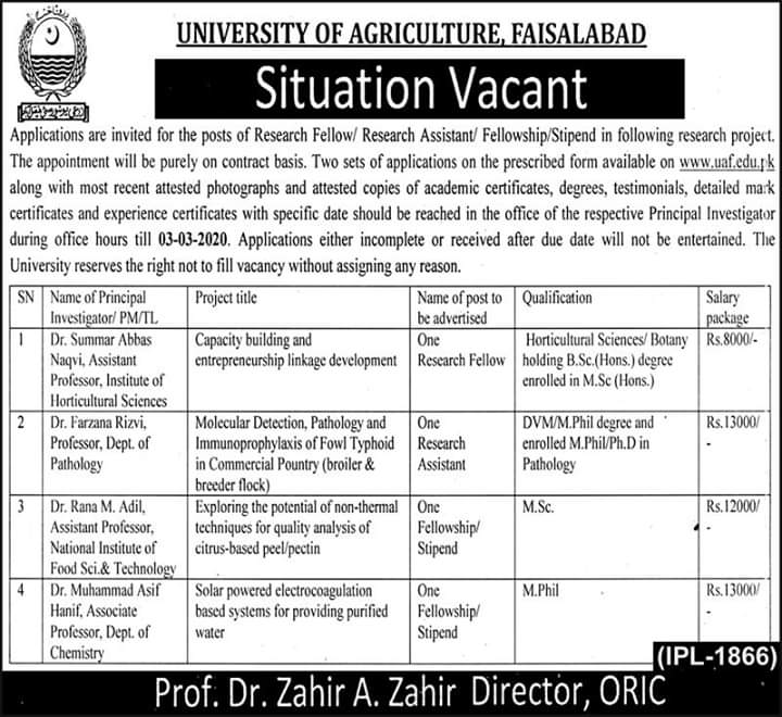 University of Faisalabad jobs