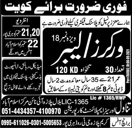 Jobs in Kuwait for Freshers