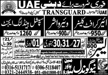 Jobs in transguard security company 2023