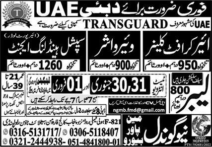 Jobs in transguard group 2023