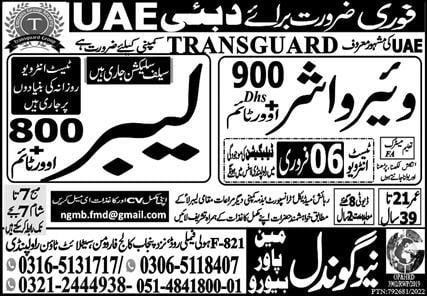 Transguard company dubai jobs 2023