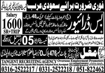Bus driver job in makkah 2023