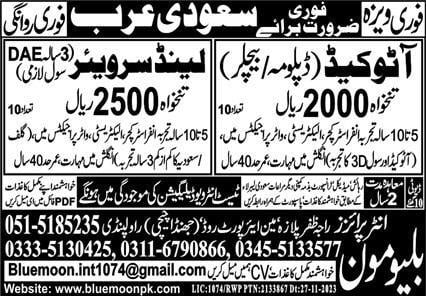 Autocad jobs in saudi arabia 2024