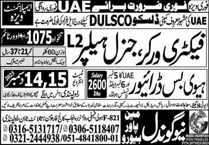 Dulsco company dubai work 2024