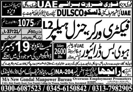 Dulsco company dubai jobs 2024