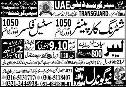 Transguard company jobs in dubai 2024