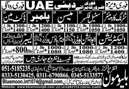 Aviation jobs in uae for freshers 2024