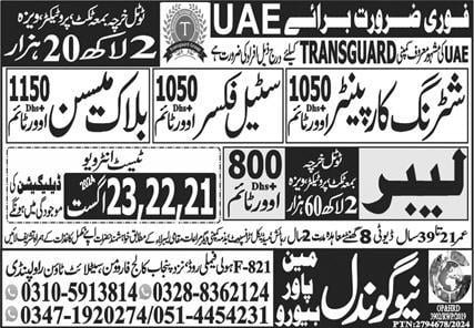 Transguard online job apply 2024