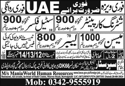 Dubai new job vacancy 2024