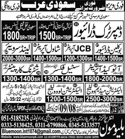 Low voltage electrician jobs in saudi arabia 2024