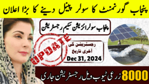 Punjab Solarization Program Registration