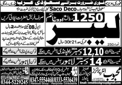 Sacodeco company jobs in saudi arabia 2025