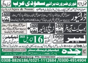 Bobcat operator company jobs in saudi arabia 2025