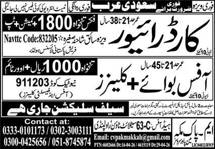 Saudi Arabia Fresh Jobs